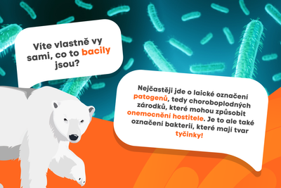 Jak vysvětlit dětem, co jsou bacily? | Preventan – Na imunitu s medvědí ...